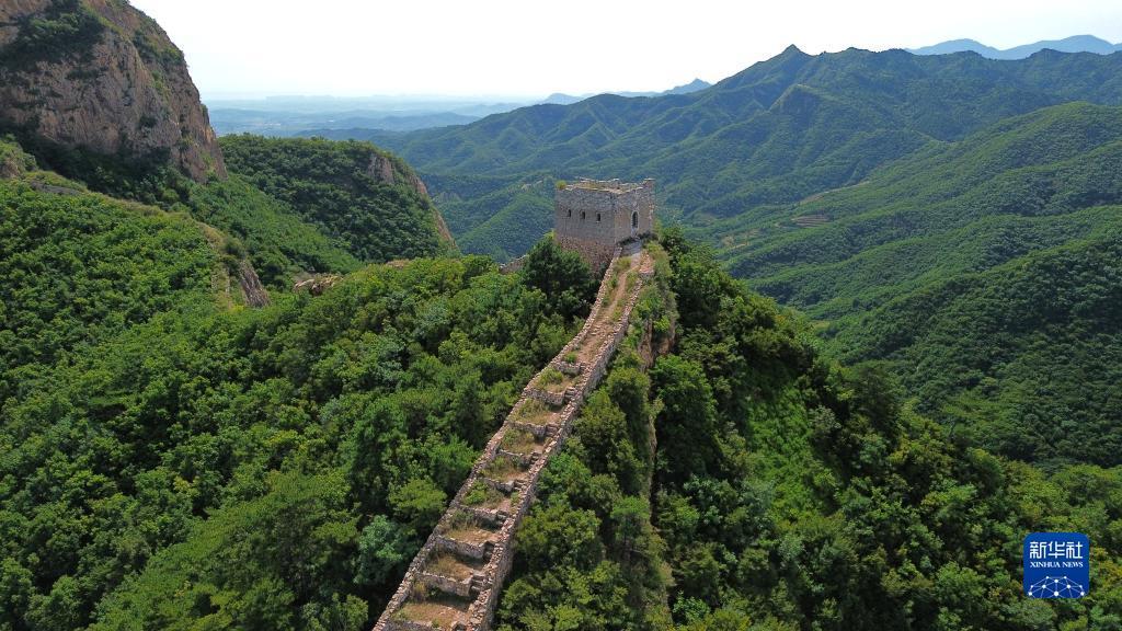 澳洲皇冠因为专业所以值得信赖
