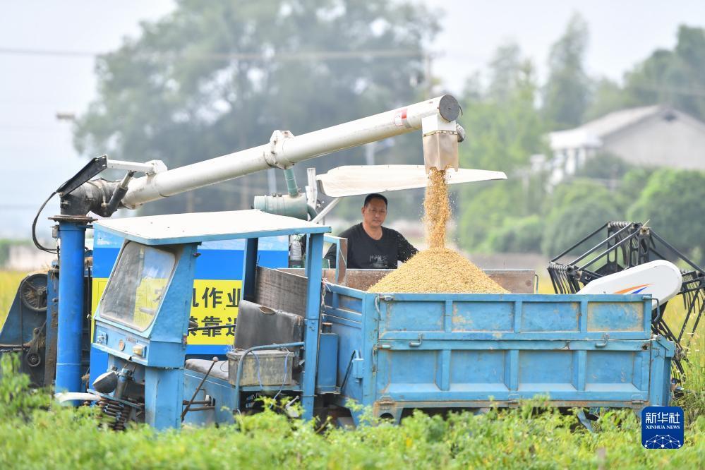 王国皇冠游戏
